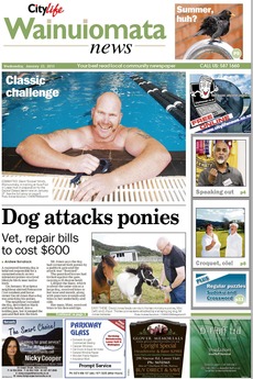 Wainuiomata News - January 23rd 2013